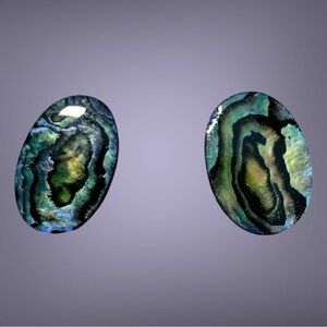 Iridescent Shell Oval Earrings